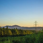 Stromleitung im Wald - Leiterseilmonitoring