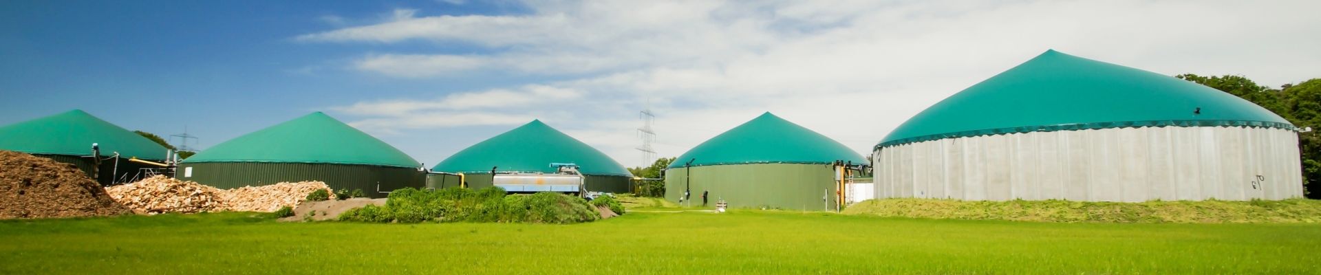 Virtuelles Kraftwerk zur Vermarktung von Flexibilität aus Biogasanlagen